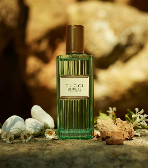 gucci parfüm memoire|Gucci memoire perfume price.